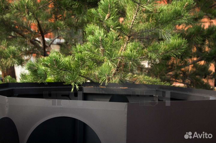 Банный Чан. Купель