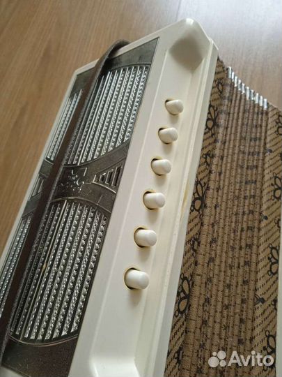 Гармонь детская