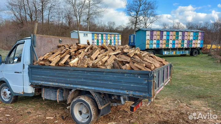 Колотые дрова