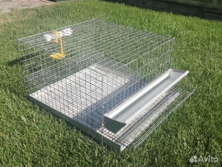 Клетки для перепелов