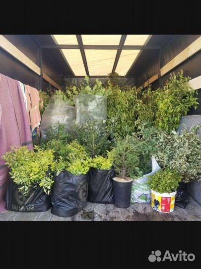 Грузоперевозки переезды грузчики газель