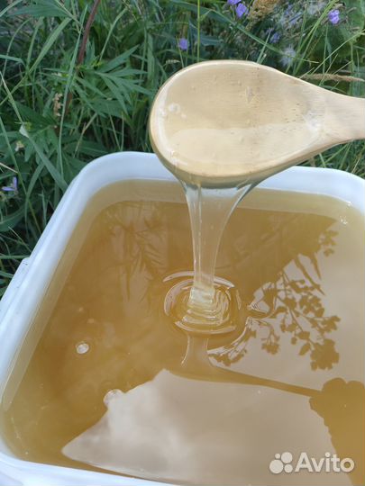 Мёд оптом от 35 кг, 4 сорта - своя пасека