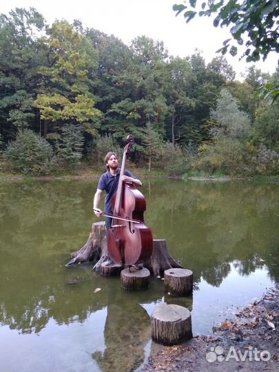 Контрабасистъ на праздникъ, свадьбу, меропріятіе
