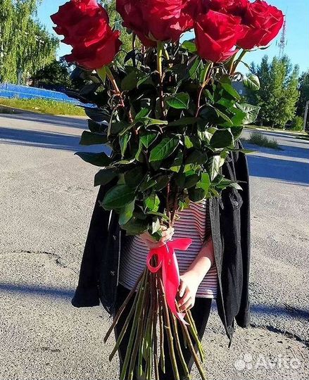 Высокие розы Гигантские розы Доставка цветов