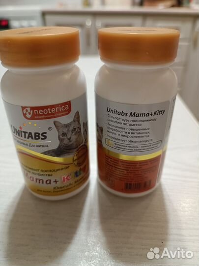 Витамины для беременных кошек