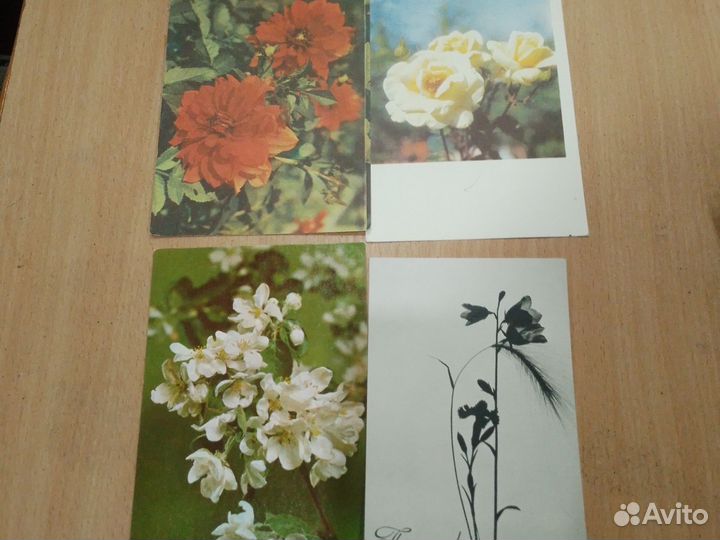 Почтовые открытки