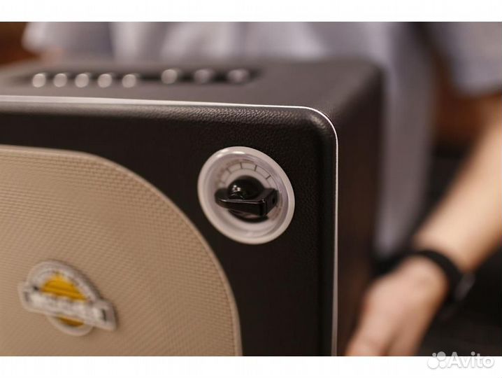 Mooer DH06 Hornet 30BK - Моделирующий гитарный ком