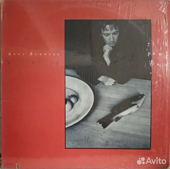 Виниловые пластинки из Соединённых Штатов Америки