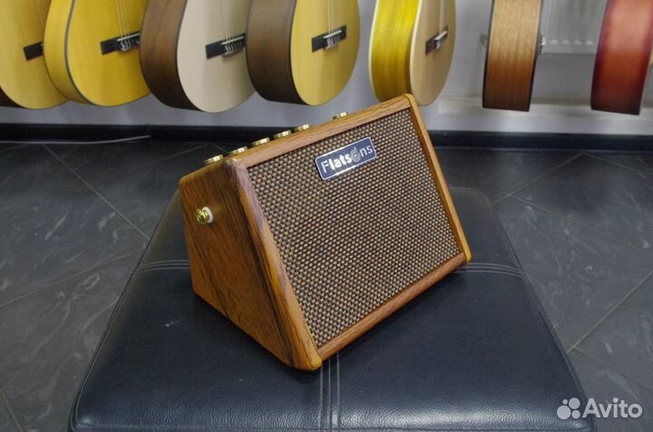 Flatsons Crush-15 Комбоусилитель портативный 15 Вт