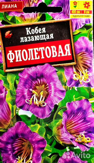 Кобея