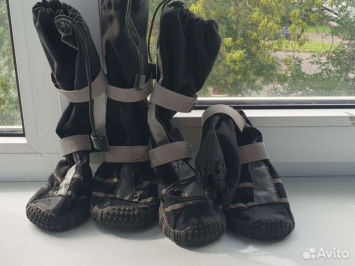 Собачьи ботинки