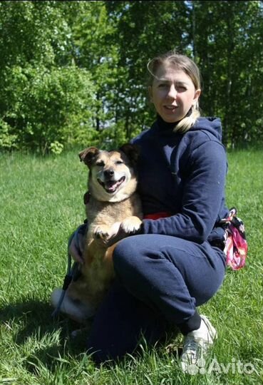 Сладкая собачка Груша небольшая в дом