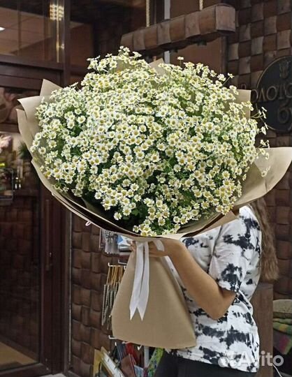 Супер огромный букет ромашек с WOW эффектом