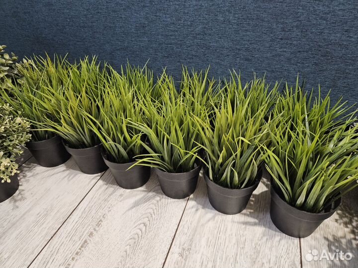 IKEA Фейка, растения из IKEA