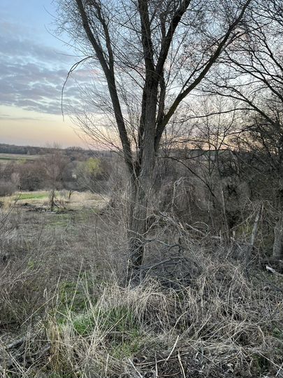 Участок 15 сот. (ИЖС)