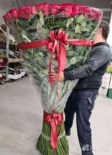 101 роза цветы букеты доставка 25 51 101 роза