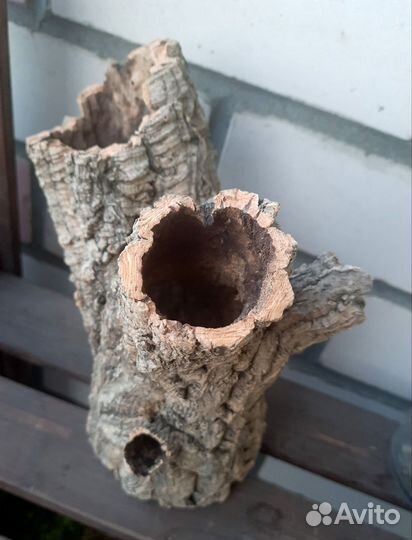 Кора пробкового дуба