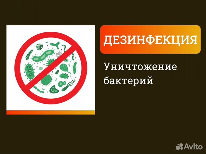 Дезинфекция дезинсекция дератизация обработка