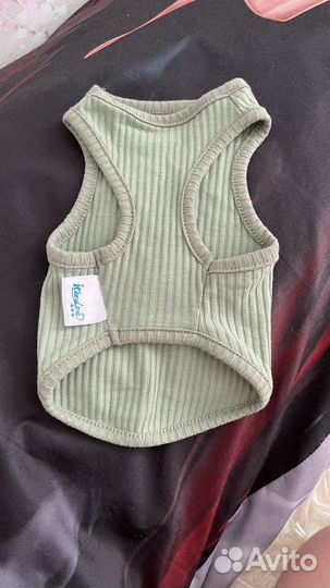 Одежда для собак мелких пород