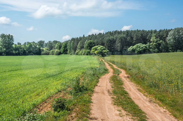 Участок 10 сот. (ИЖС)