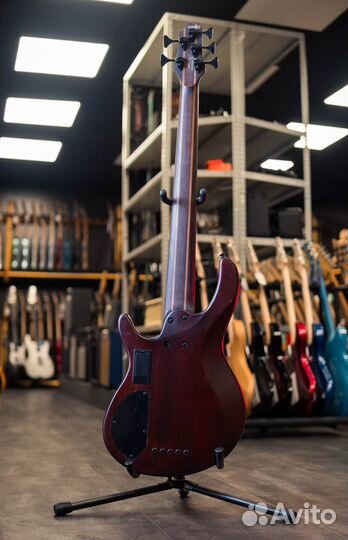 Cort B5-Element-opbr 5-струнный