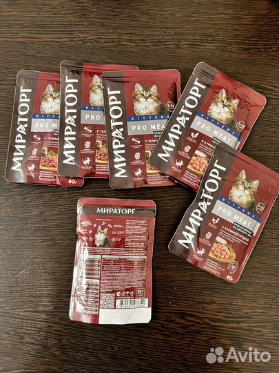 Влажный корм для котят