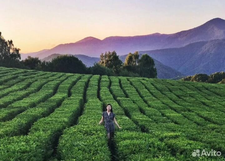 Экскурсия в Эко-парк 