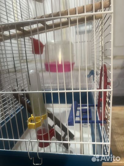 Клетка для средних попугаев