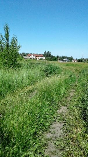 Участок 7,43 га (ИЖС)