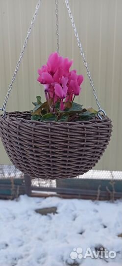 Кашпо из ротанга