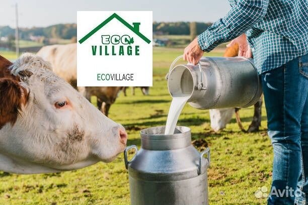 Заменитель цельного молока (зцм)