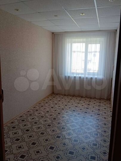 3-к. квартира, 55,6 м², 2/3 эт.