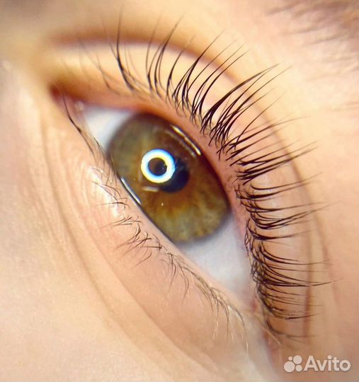 Ламинирование ресниц