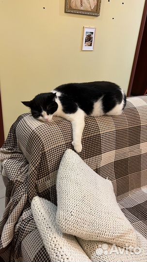 Отдых в Абхазии Сухум