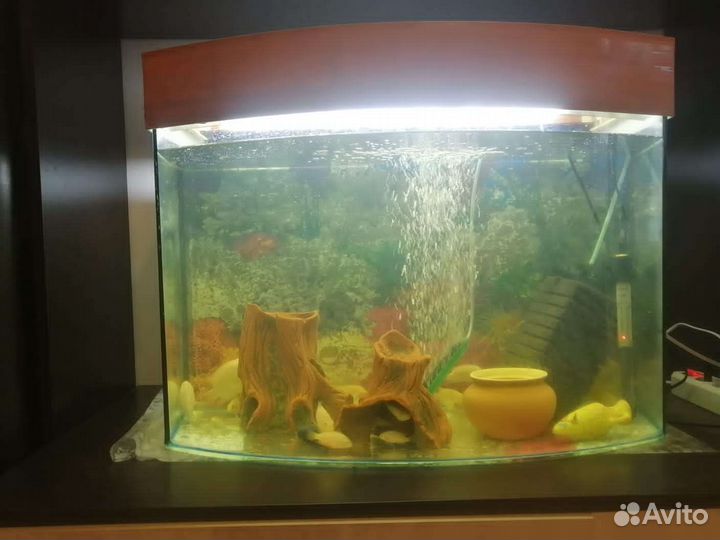 Аквариум