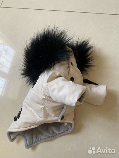 Одежда для собак