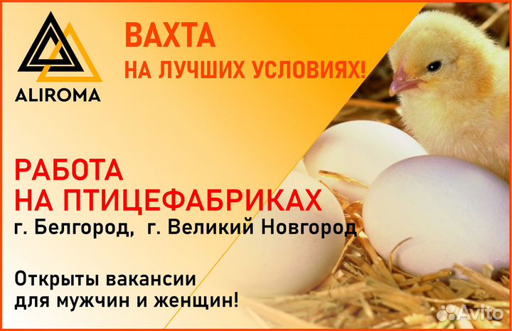 Упаковщик(ца) с проживанием. Без опыта.Вахта