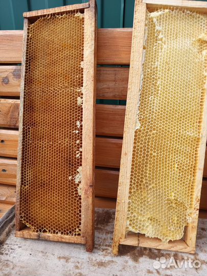 Рамки с сушью