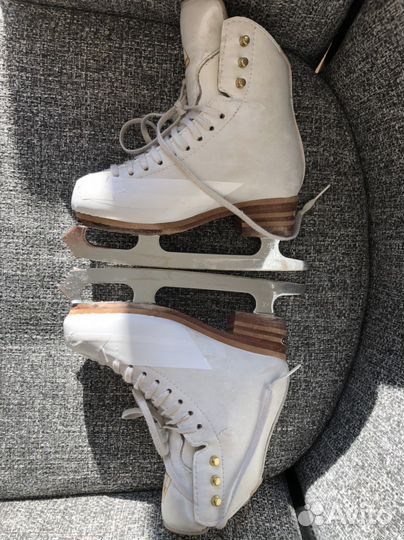 Фигурные коньки jackson elle