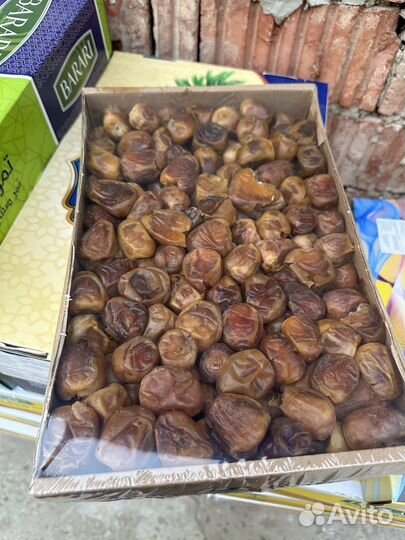 Финики суккари