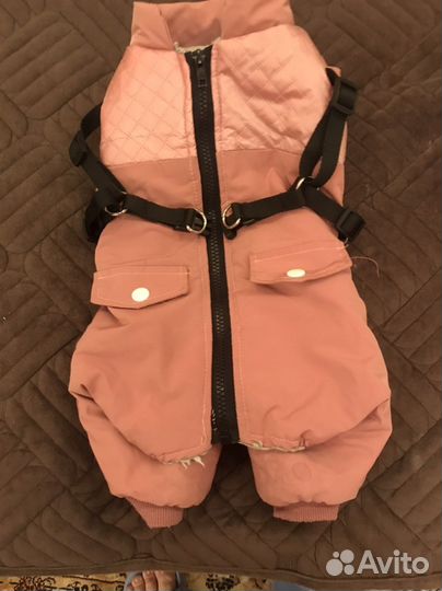 Комбенизон для собак