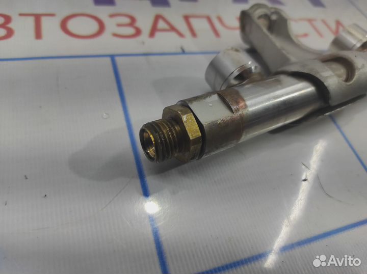 Рейка топливная (рампа) Volkswagen Tiguan (Mk2) 06