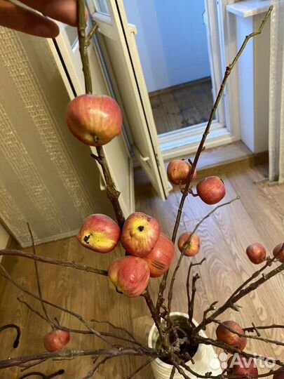 Ваза напольная с декоративными яблоками