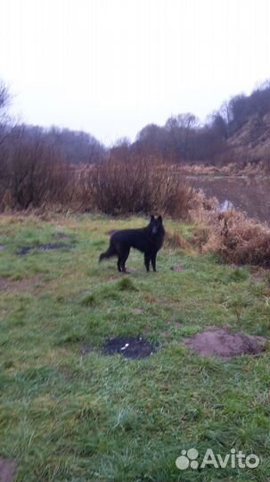 Грюнендаль