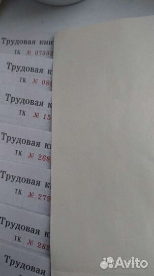 Трудовая книжка ТК