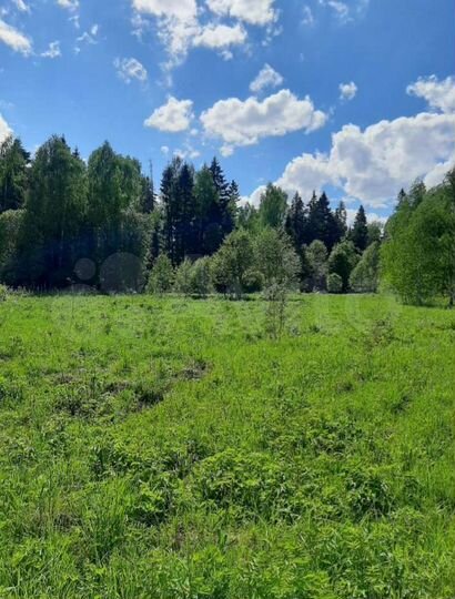 Участок 1,02 га (СНТ, ДНП)