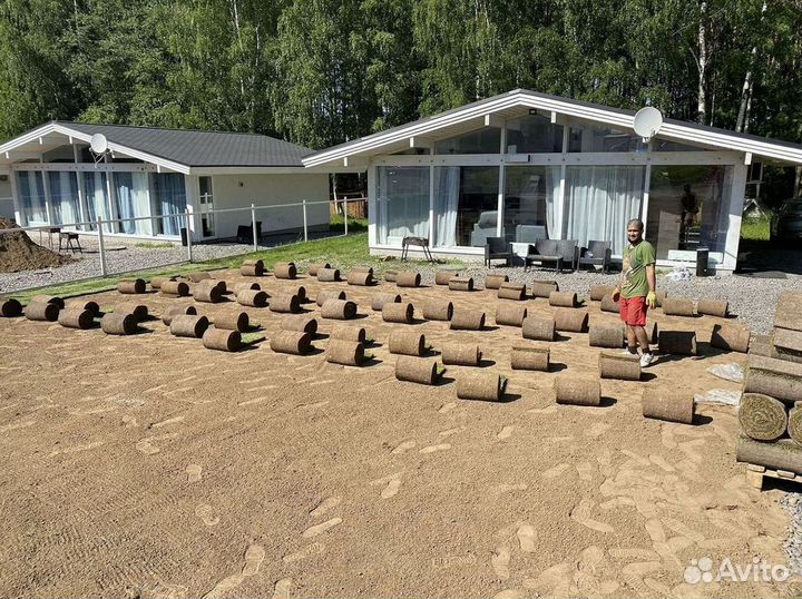 Газон премиум