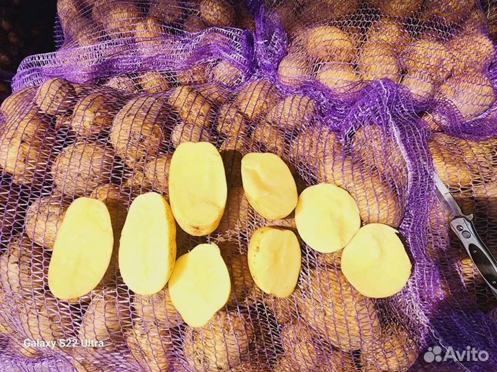 Картофель в калужской обл в наличии