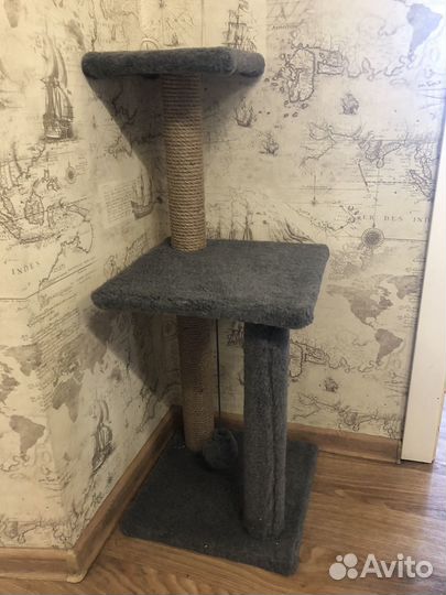 Когтеточка