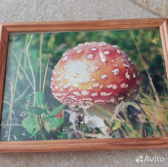 Авторское фотопанно 